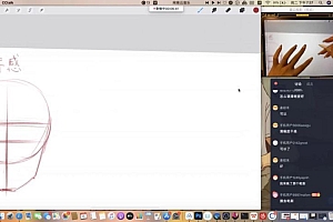 Tiye鸭鸭ipad插画课2022年8月结课【画质还行有笔刷】