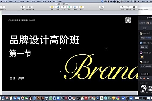 卢帅品牌设计内训高阶班第10期