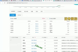 逆冬2020权重站教程