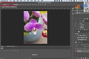 兰花摄影&后期技法 主讲:朱建华老师