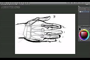 CG动画:人体结构【CG进阶】解剖精讲四部最全 王九斤【中文 高清 9.54G】