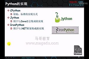 Python编程基础