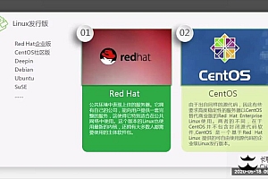 长亭科技安全培训VIP课程