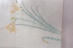 侯泽涛2022零基础没骨花鸟画系统课【画质不错只有视频和图片】