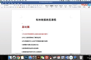 布林商业插画系统课基础篇+进阶篇【画质不错有笔刷】