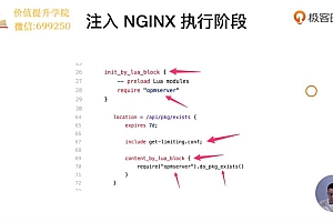 极客时间:OpenResty从入门到实战