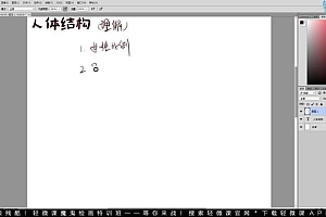 轻微课-【小粉菇】人体结构与比例初级入门之动漫绘制基础课程