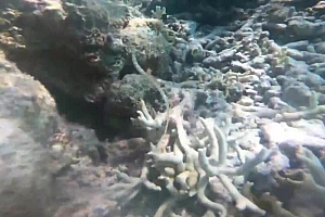 摄影读书会-西沙群岛海边闪光灯人像教程