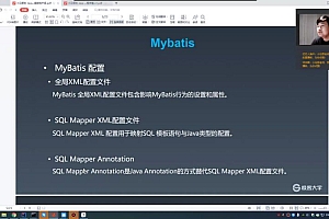 小马哥java项目实战营
