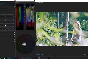 虚空光影炮长适合普通人的PR 达芬奇调色课小白上手调色之路