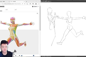 【12月上新】【缺课】TC晨人体透视教程【画质高清有图片资料没笔刷】
