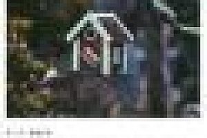 在行一点:【在行一点】【搜索】深度搜索内训营@朱丹