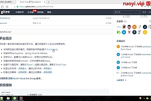 若依框架(RuoYi)系列视频教程-Cloud微服务+VUE前后端分离(V3.8-V4.0)