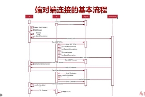 WebRTC实时互动直播技术入门与实战 5G时代必备技能【完结】