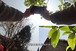 手机摄影技巧-手机短视频21天提升训练营手机拍出高质感视频