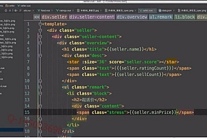 慕课:Vue.js 高仿饿了么外卖APP
