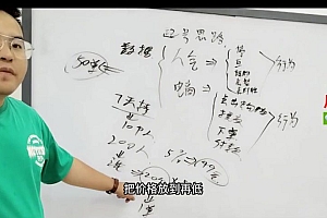 高级直播运营系统课