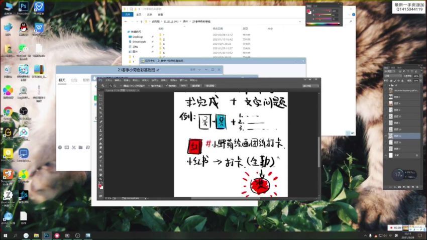 【小野菊】板绘色彩基础2021.3