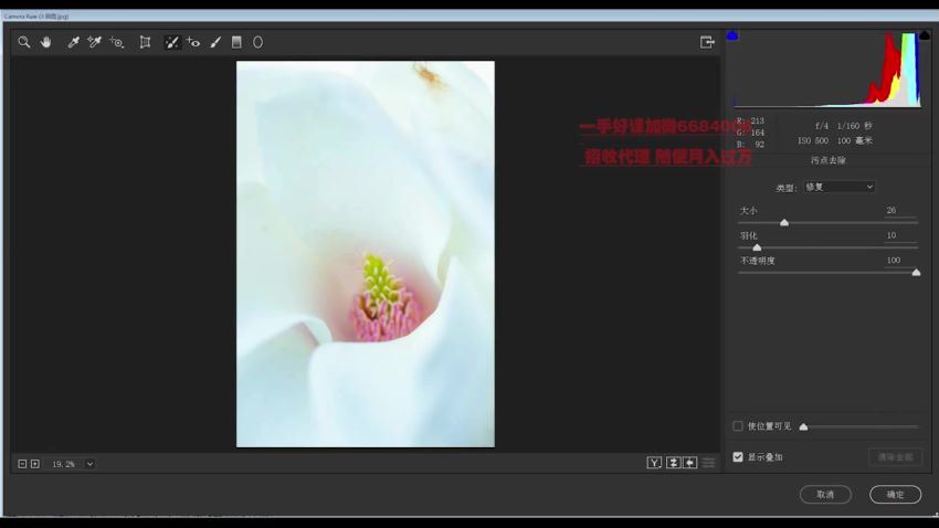 不负芳华，花卉摄影技法完全宝典后期课程，主讲：葛宏军老师