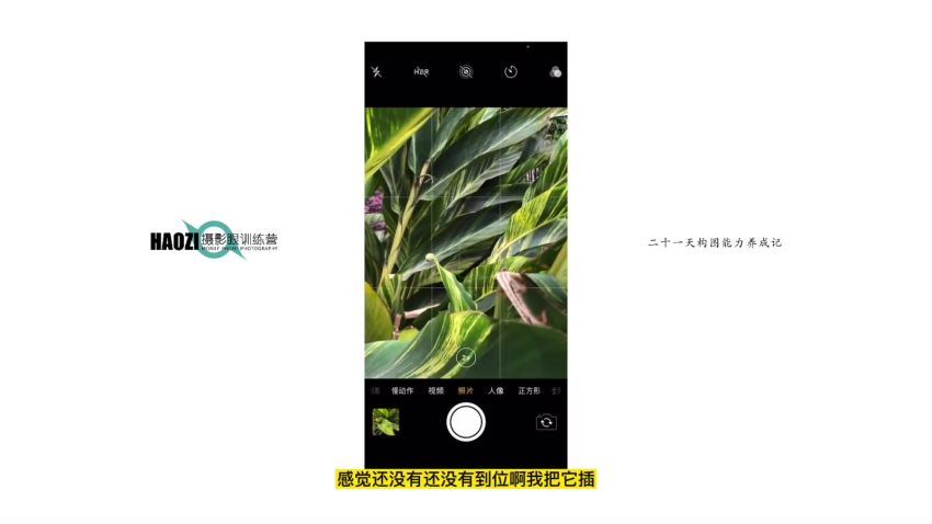 浩哥摄影眼训练课
