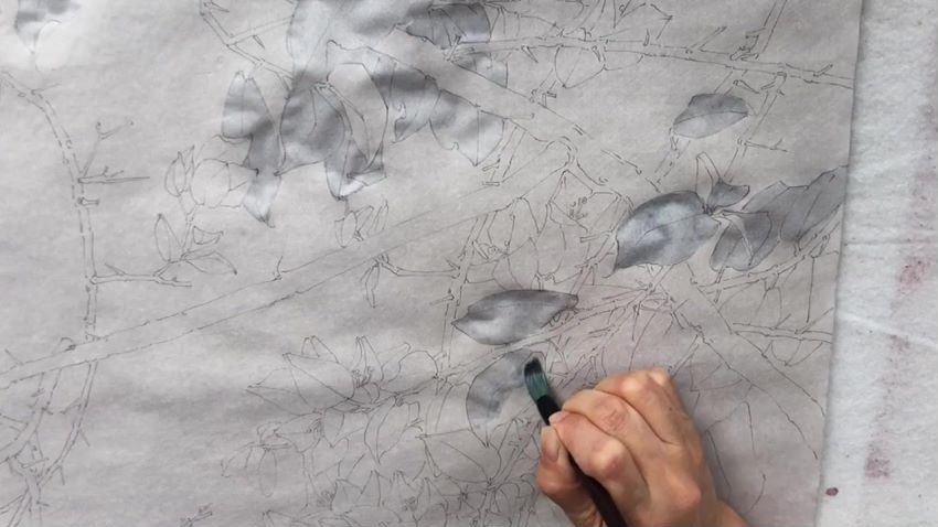 李海霞唯美国展技法工笔画（孔雀三角梅）