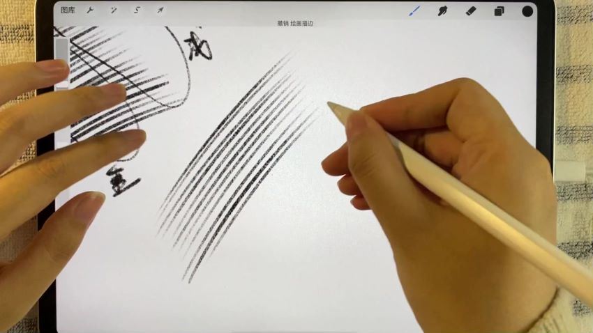周末iPad头像精品课2022年2月【画质不错有笔刷素材】