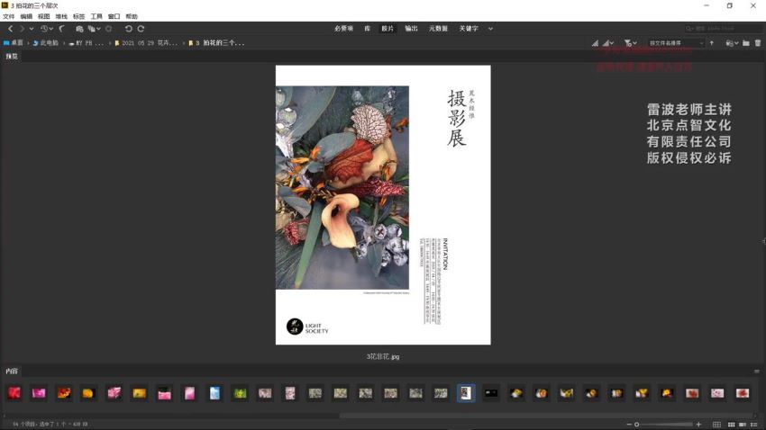好机友摄影-花卉摄影理念与技法
