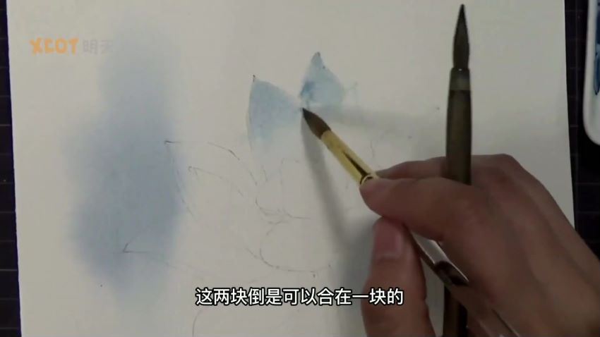 纸间梦水彩花卉年课2022年【画质高清只有视频】