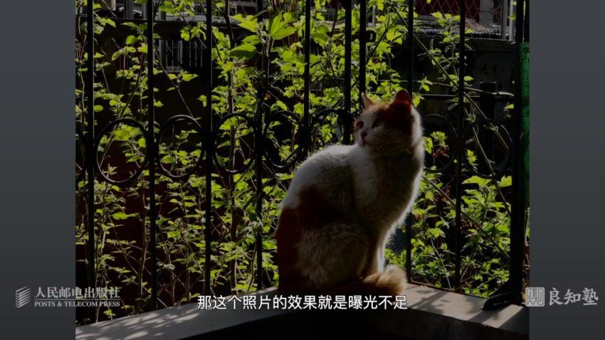 摄影客-33节技巧课，卷毛佟教你零基础晋级手机摄影高手