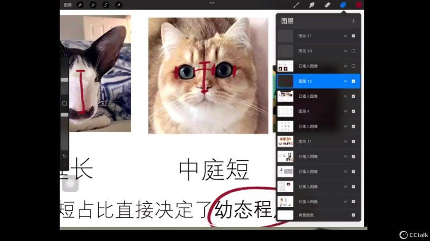 碳烹了2022美型人物基础ipad插画课【画质还可以只有视频】