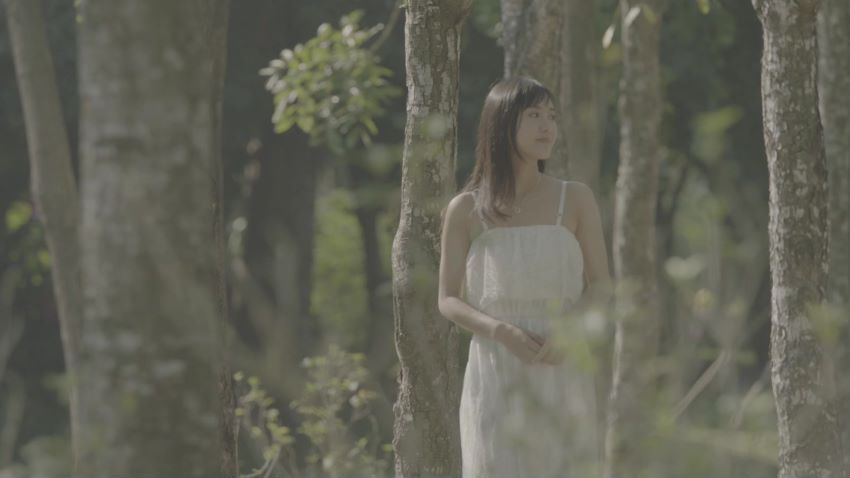 旧版ryan达芬奇50集
