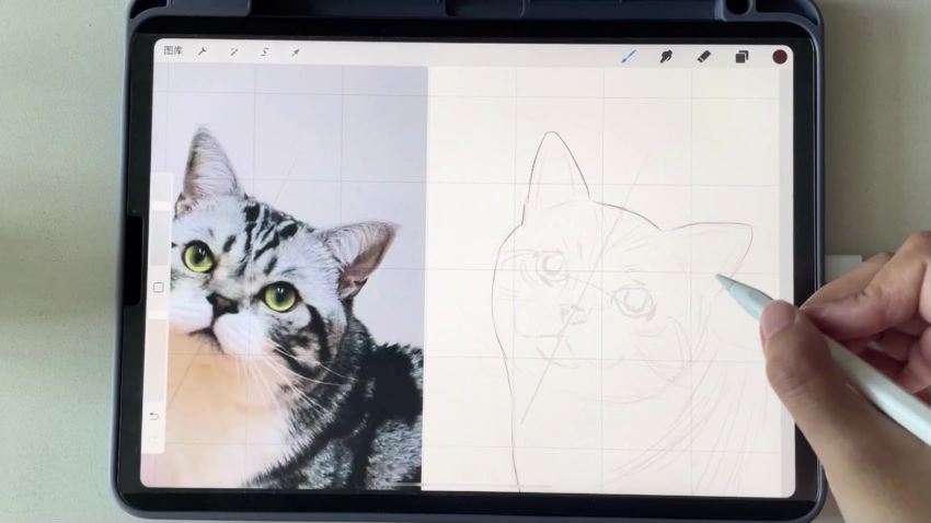 艺琳2022零基础ipad宠物绘画课【画质高清有笔刷素材】
